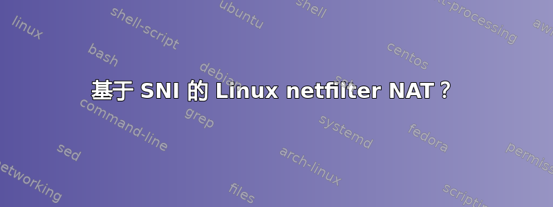 基于 SNI 的 Linux netfilter NAT？