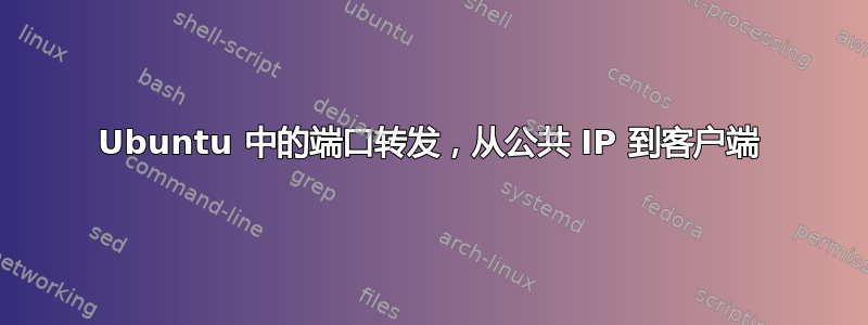 Ubuntu 中的端口转发，从公共 IP 到客户端