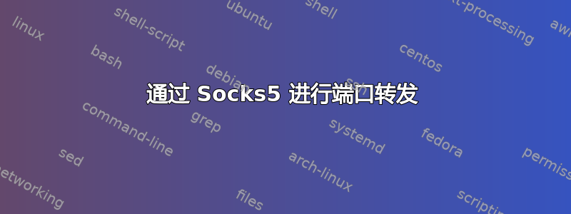 通过 Socks5 进行端口转发