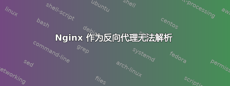 Nginx 作为反向代理无法解析