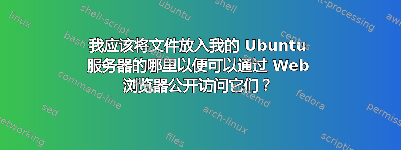 我应该将文件放入我的 Ubuntu 服务器的哪里以便可以通过 Web 浏览器公开访问它们？