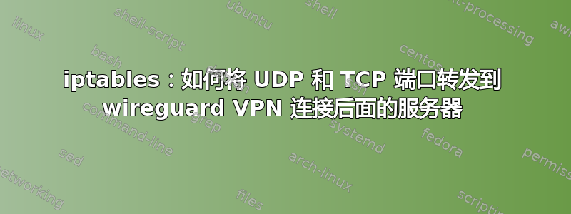 iptables：如何将 UDP 和 TCP 端口转发到 wireguard VPN 连接后面的服务器