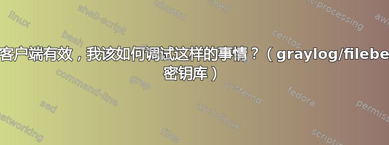 证书仅在客户端有效，我该如何调试这样的事情？（graylog/filebeat/JVM 密钥库）