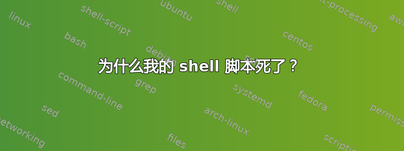 为什么我的 shell 脚本死了？