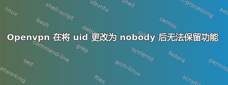 Openvpn 在将 uid 更改为 nobody 后无法保留功能