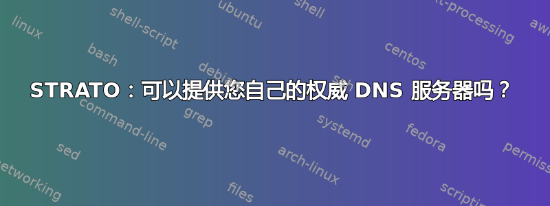 STRATO：可以提供您自己的权威 DNS 服务器吗？