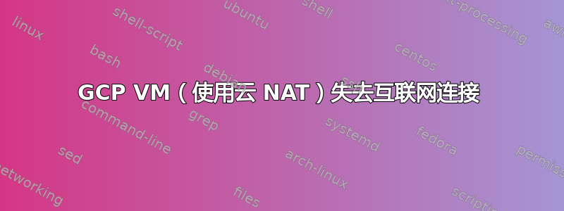 GCP VM（使用云 NAT）失去互联网连接