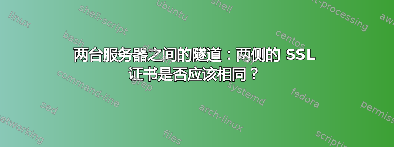 两台服务器之间的隧道：两侧的 SSL 证书是否应该相同？