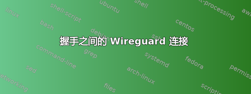 握手之间的 Wireguard 连接