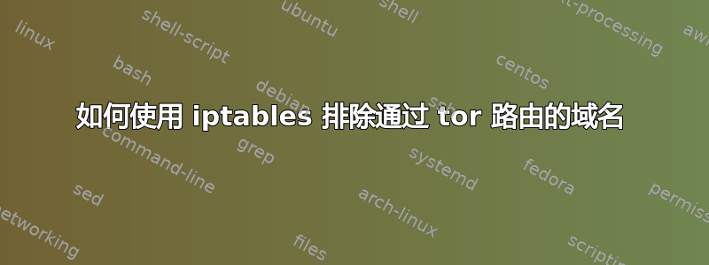 如何使用 iptables 排除通过 tor 路由的域名