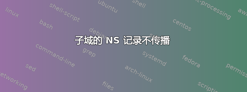 子域的 NS 记录不传播