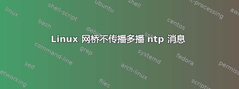 Linux 网桥不传播多播 ntp 消息