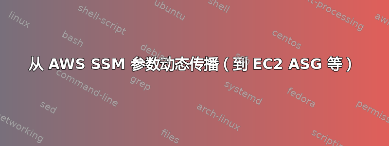 从 AWS SSM 参数动态传播（到 EC2 ASG 等）