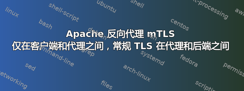 Apache 反向代理 mTLS 仅在客户端和代理之间，常规 TLS 在代理和后端之间