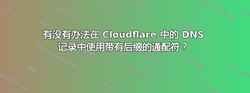 有没有办法在 Cloudflare 中的 DNS 记录中使用带有后缀的通配符？