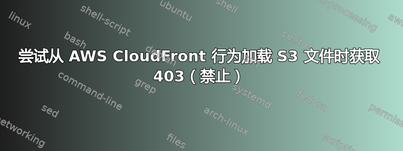 尝试从 AWS CloudFront 行为加载 S3 文件时获取 403（禁止）