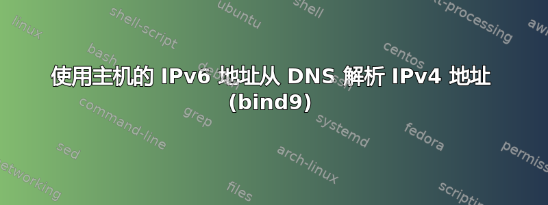 使用主机的 IPv6 地址从 DNS 解析 IPv4 地址 (bind9)