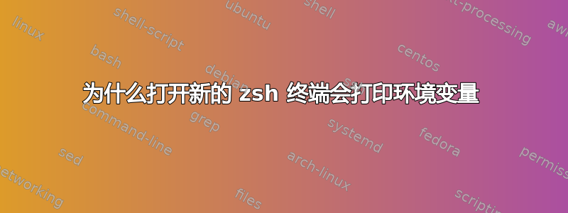 为什么打开新的 zsh 终端会打印环境变量