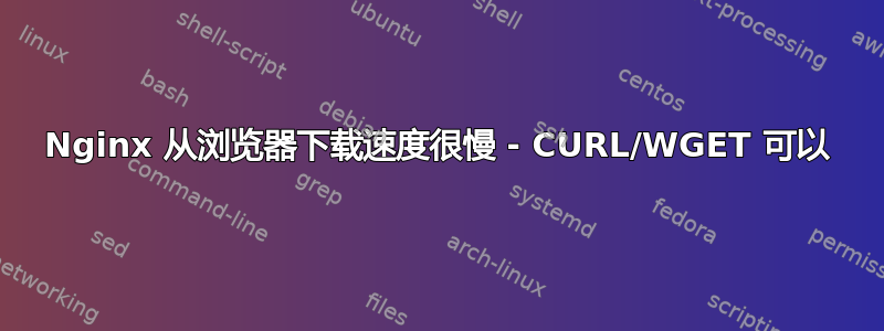 Nginx 从浏览器下载速度很慢 - CURL/WGET 可以