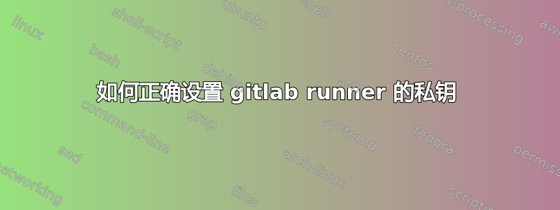 如何正确设置 gitlab runner 的私钥