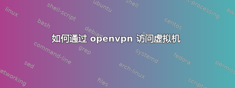 如何通过 openvpn 访问虚拟机