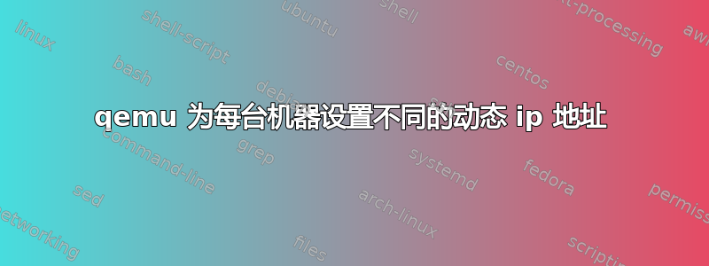 qemu 为每台机器设置不同的动态 ip 地址