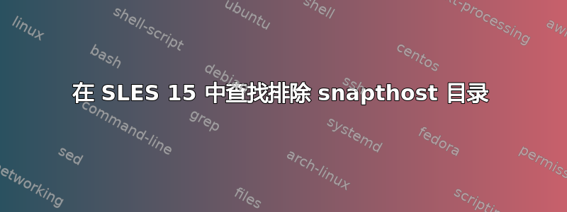 在 SLES 15 中查找排除 snapthost 目录