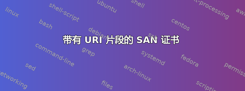 带有 URI 片段的 SAN 证书