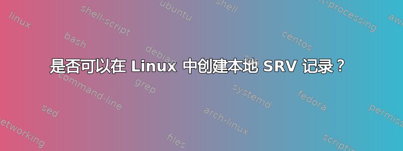 是否可以在 Linux 中创建本地 SRV 记录？