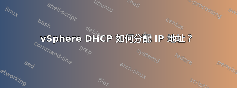 vSphere DHCP 如何分配 IP 地址？