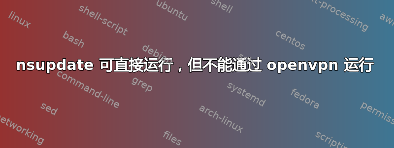 nsupdate 可直接运行，但不能通过 openvpn 运行