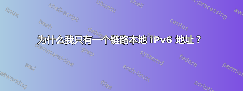 为什么我只有一个链路本地 IPv6 地址？