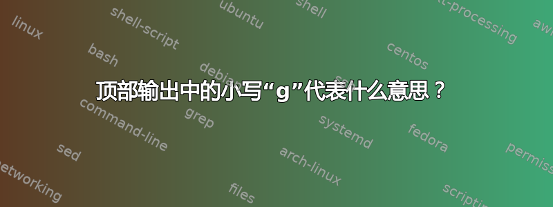 顶部输出中的小写“g”代表什么意思？