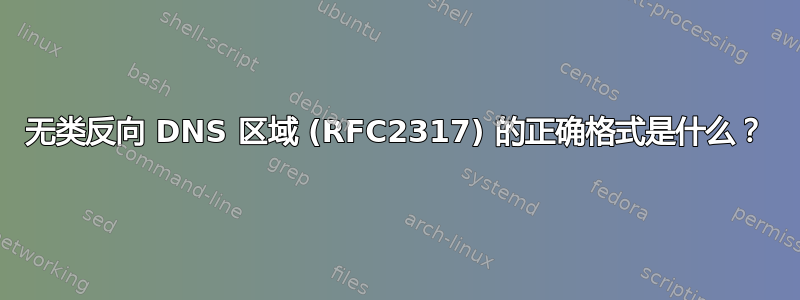 无类反向 DNS 区域 (RFC2317) 的正确格式是什么？