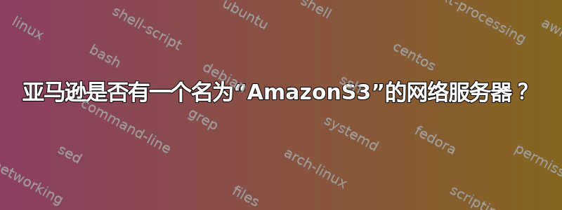 亚马逊是否有一个名为“AmazonS3”的网络服务器？