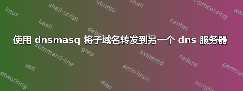 使用 dnsmasq 将子域名转发到另一个 dns 服务器