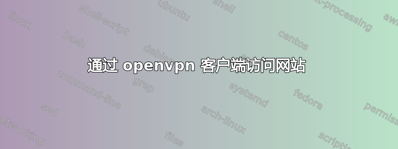 通过 openvpn 客户端访问网站