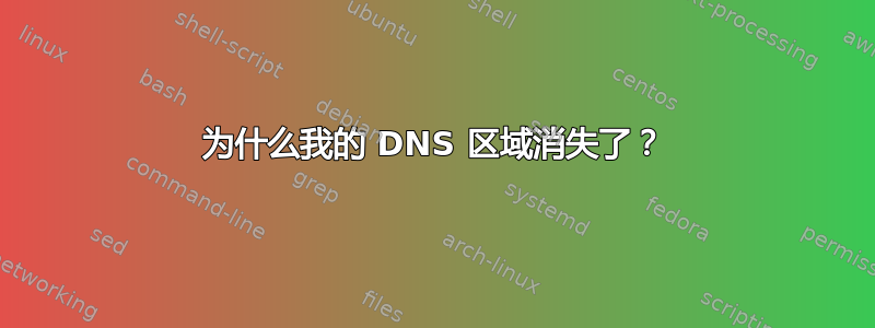 为什么我的 DNS 区域消失了？