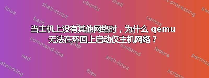 当主机上没有其他网络时，为什么 qemu 无法在环回上启动仅主机网络？