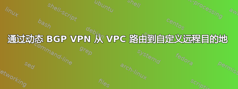 通过动态 BGP VPN 从 VPC 路由到自定义远程目的地