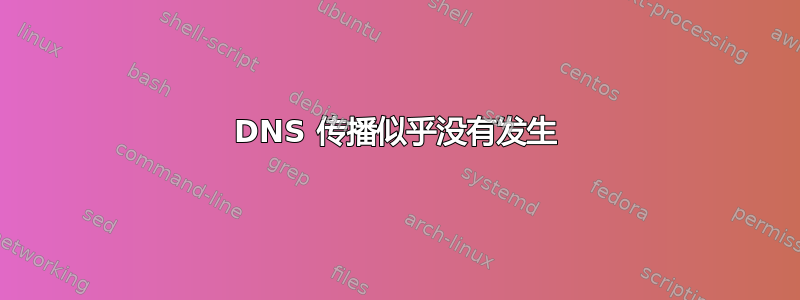 DNS 传播似乎没有发生