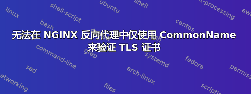 无法在 NGINX 反向代理中仅使用 CommonName 来验证 TLS 证书