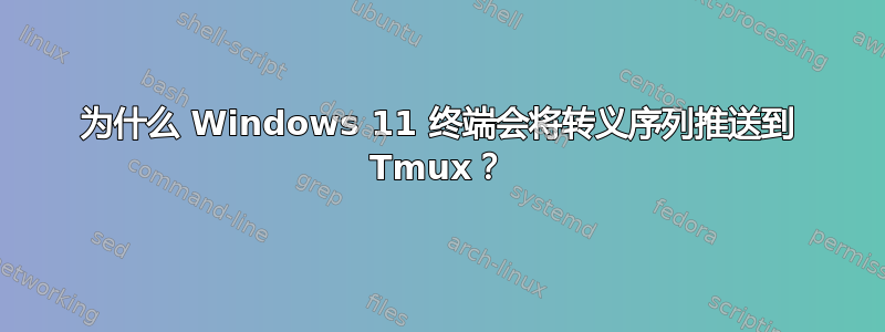 为什么 Windows 11 终端会将转义序列推送到 Tmux？