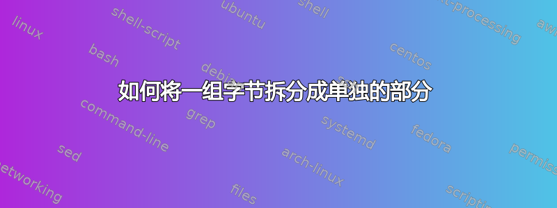 如何将一组字节拆分成单独的部分