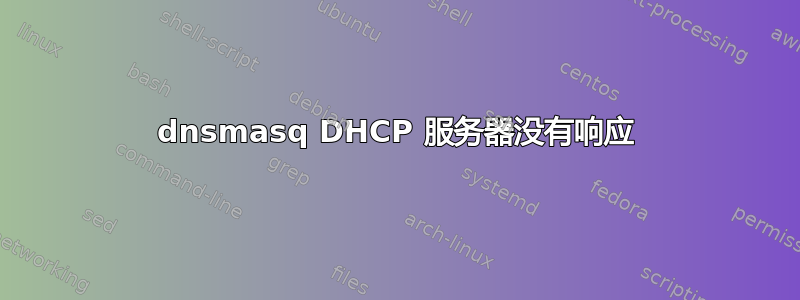 dnsmasq DHCP 服务器没有响应