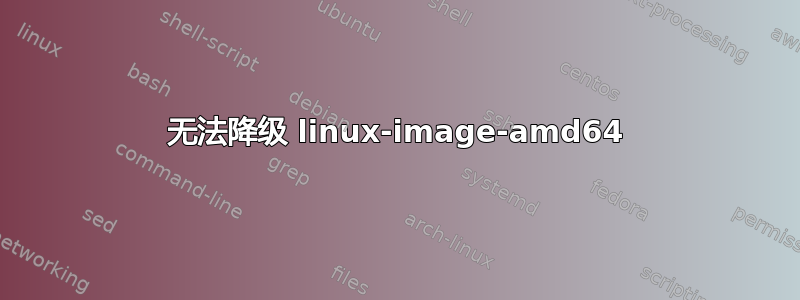 无法降级 linux-image-amd64