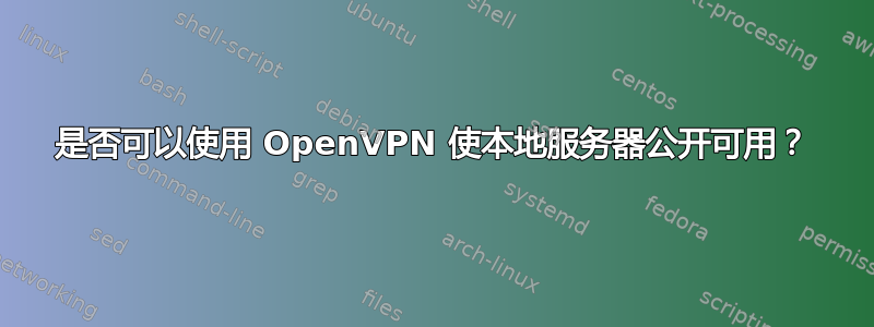 是否可以使用 OpenVPN 使本地服务器公开可用？