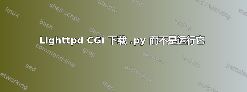 Lighttpd CGI 下载 .py 而不是运行它