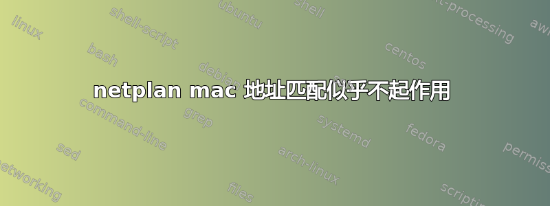 netplan mac 地址匹配似乎不起作用