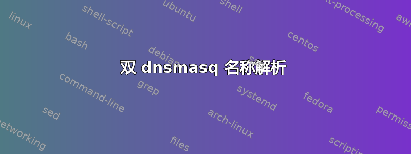 双 dnsmasq 名称解析